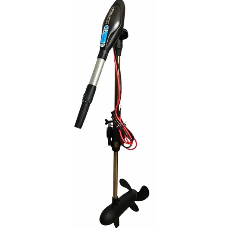 Moteur Électrique Haswing Protruar-G 4.0 130Lbs 24V