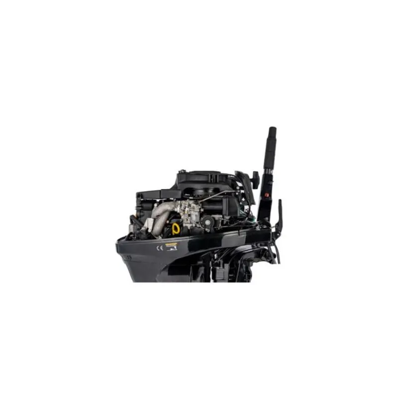 Parsun Moteur Thermique F15abms-Efi 15Cv Arbre Court Barre Franche * Moteurs Thermiques Bateau