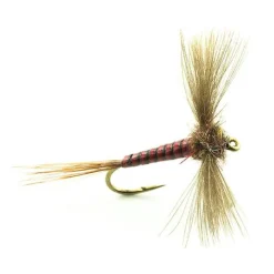 Devaux Mouche Ephemere Spent Jbs01 - Par 3 * Mouches