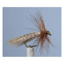 Mouche Jmc Sedge Priay