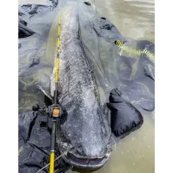 Black Cat Moulinet Casting Cast 301 Lh * Moulinets Silure