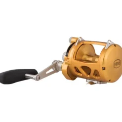 Penn Moulinet Traine International Vi - Vw Single Speed Gold * Moulinets Mer