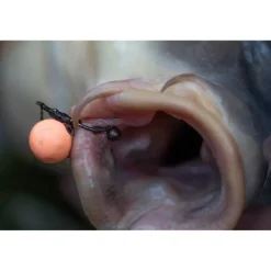 Plomb Carpe Pole Position Tungsta Hook Shot