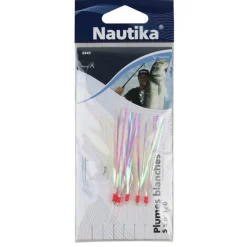 Nautika Train De Plumes * Lignes Montées